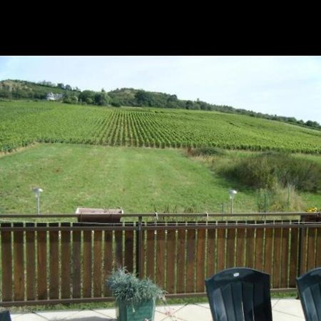 Maison Au Milieu Des Vignes Moroges Buitenkant foto