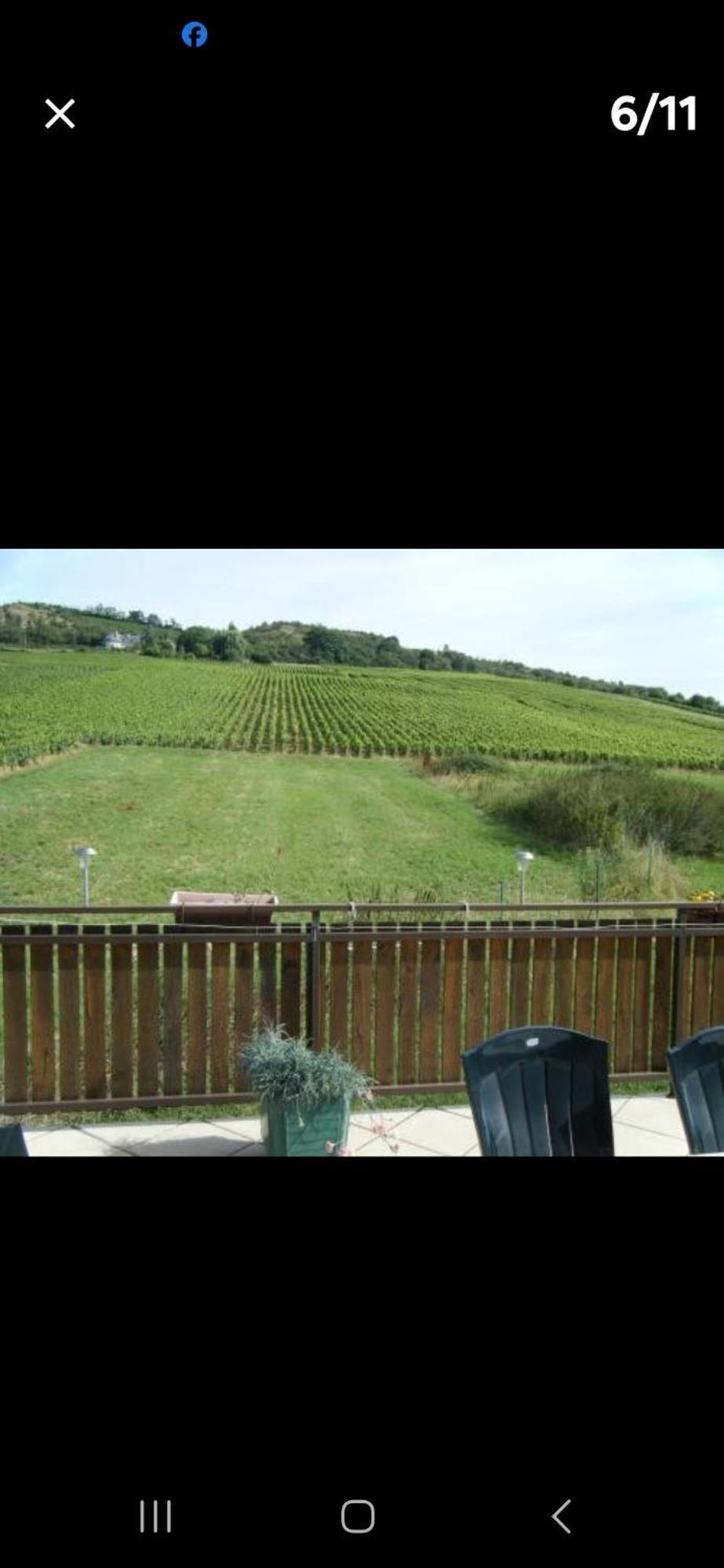 Maison Au Milieu Des Vignes Moroges Buitenkant foto